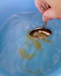 A hand holding a tablespoon stirs brown molasses into water in a blue bowl.