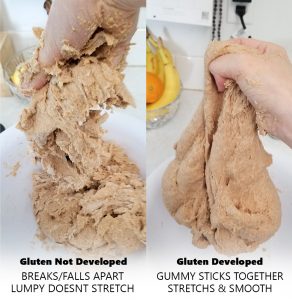 Example of dough with the gluten not developed. It breaks, falls apart, lumpy, and doesn't stretch. Example of gluten developed in kneaded bread; it is gummy, sticks together, stretchs, and is smooth.