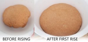 Examle of bread dough before and after the first rise.