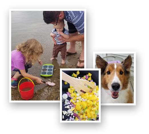 Three photos collaged: Family at beach making sand muffins, purple onion and yellow pepper salsa in pan, and our Sheltie puppy dog named Ken.