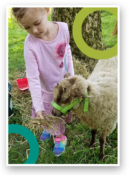 My daughter got to help take care of a very special visitor at our church today! A little lamb brought to visit from the parents of a family at our church. So soft and cute!